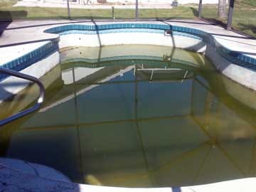 Pool Cleaning Punta Gorda FL